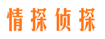 灯塔外遇调查取证